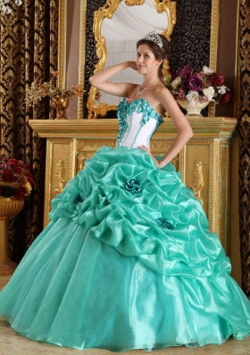 Turquoise 15 Quinceanera Dress Organza Handmade Flowers