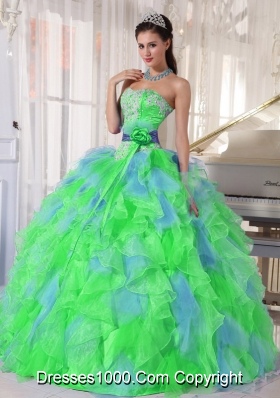 Multi-color Sweetheart Appliques Plus Size Quinceanera Dress with Green Flower