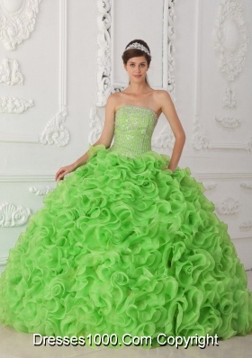 Organza Spring Green Ball Gown Strapless Sweet Sixteen Dress with Beading