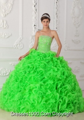 Spring Green Ball Gown Strapless Organza Beading Quinceanera Dress 2014 with Ruffles