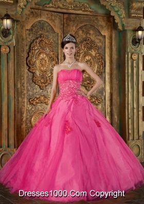 Hot Pink Ball Gown Sweetheart Quinceanera Dress with Organza Appliques