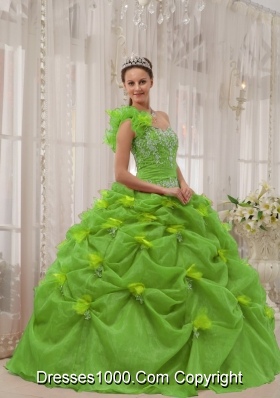 Ball Gown One Shoulder Appliques Long Quinceanera Dresses