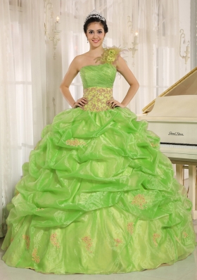 2014 Discount One Shoulder With Embroidery Quinceaners Gowns