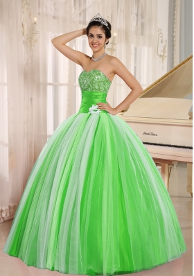 2014 Pretty New Arrival Strapless For Long Quincanera Dresses