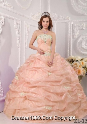 Exclusive Strapless Organza Sweet Sixteen Dresses with Appliques and Pick-ups
