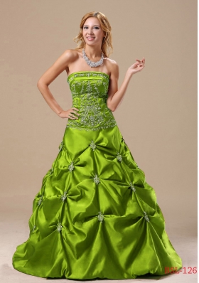Elegant A-line 2013 Quinceanera Gowns with Appliques and Pick-ups