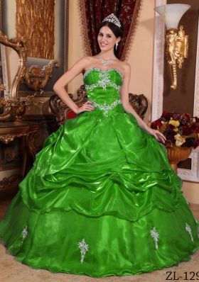 Romantic Green Puffy Strapless with Appliques Quinceanera Dress for 2014
