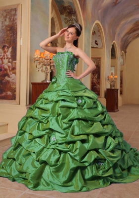 Petty Green Puffy Strapless Court Train Pick-ups Quinceanera Dress for 2014