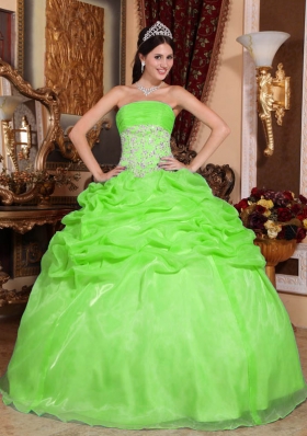 2014 Spring Green Puffy Strapless Appliques Quinceanera Dress with Pick-ups