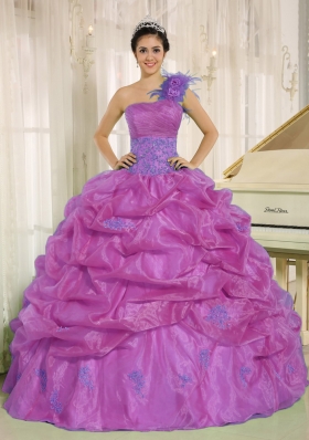One Shoulder Quinceaners Dress with Appliques and Hand Made Flowres