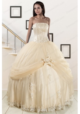 Elegant Appliques and Hand Made Flower Champagne Quince Dresses