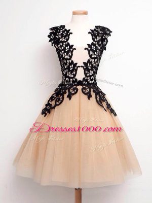 Graceful Champagne Sleeveless Knee Length Lace Lace Up Damas Dress