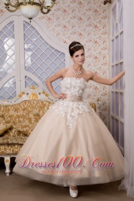 Champagne Strapless Ankle-length Tulle Appliques Wedding Gown