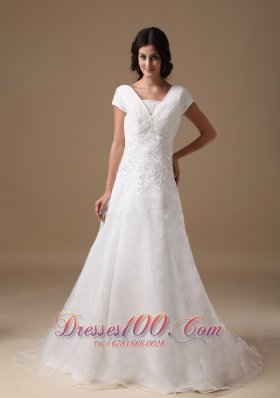 Organza and Taffeta Wedding Gown V-neck Appliques Court Train