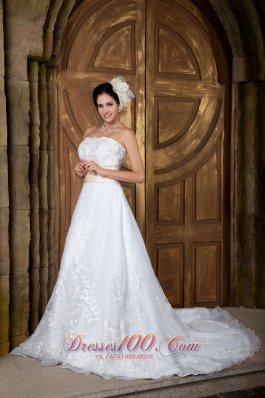 Beautiful Embroidery Bridal Dress Colored Strapless Organza