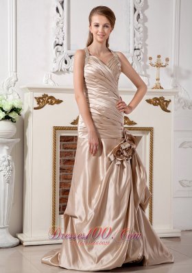 Champagne Themed Wedding Dress Mermaid Halter Brush Train