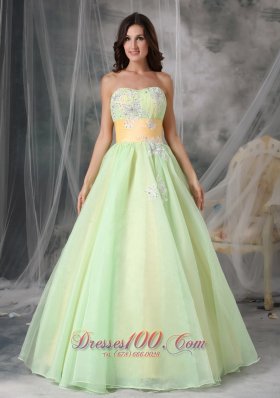 Yellow Green A-line Quinceanera Dress Organza Appliques