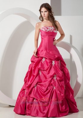 Popular Hot Pink Prom Dress Appliques A-line