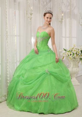2012 Spring Green Quinceanera Dress Pick-ups Sweetheart