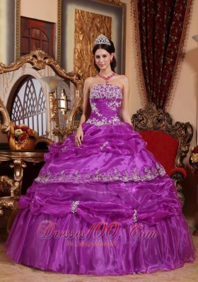 Plus Size Fuchsia Organza Appliques Quinceanera Gowns