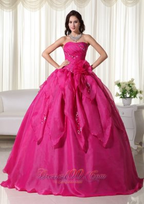 Organza Appliques Fuchsia Ball Gown Quinceanera Dress