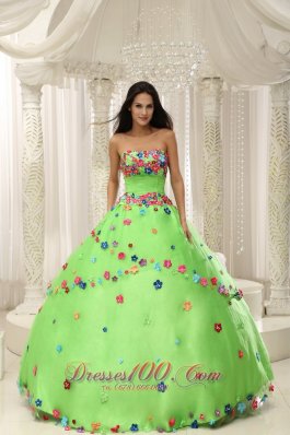 Spring Green Sweet 15 Dresses With Appliques Decorate