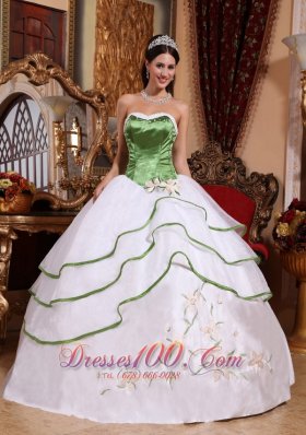 Spring Green and White Organza Embroidery Sweet 15 Dress