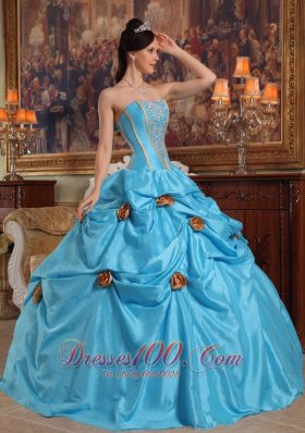 Sky Blue Quinceanera Gown Hand Made Flowers Pick-ups