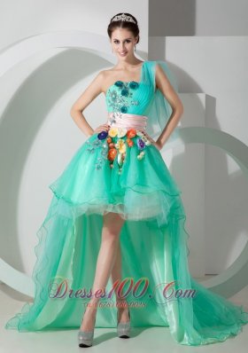 Colorful Flowers Apple Green Puffy High-low Prom Holiday Dress