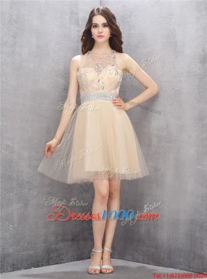 Knee Length Baby Blue Prom Dresses Scoop Sleeveless Zipper