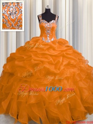 Luxury See Through Zipper Up Straps Sleeveless Organza 15 Quinceanera Dress Appliques and Ruffles Zipper