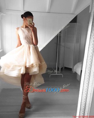 Scoop Sleeveless Backless Asymmetrical Lace Evening Gowns