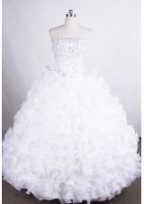 Luxurious Ball Gown Strapless Floor-length Organza Quinceanera Dresses