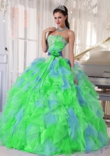 Multi-color Sweetheart Appliques Plus Size Quinceanera Dress with Green Flower