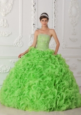 Organza Spring Green Ball Gown Strapless Sweet Sixteen Dress with Beading