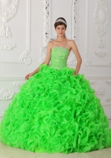 Spring Green Ball Gown Strapless Organza Beading Quinceanera Dress 2014 with Ruffles