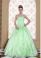 Apple Green Cheap Strapless Quinceanera Dresses With Embroidery Beading