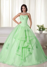2014 Pretty Spring Green Ball Gown Strapless Embroidery Quinceanera Dress
