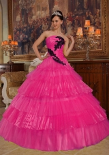 Hot Pink Ball Gown Strapless Quinceanera Dress with Organza Appliques