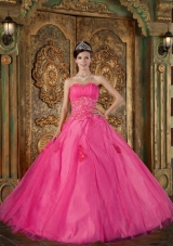Hot Pink Ball Gown Sweetheart Quinceanera Dress with Organza Appliques