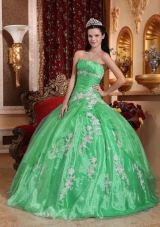 Beautiful Strapless Organza Quinceanera Dress with Appliques