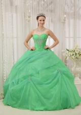 2014 Spring Sweetheart Organza Appliques Quinceaneras Dress
