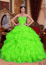 Pretty Sweetheart Beading Puffy Long Quinceanera Dresses in Spring Green