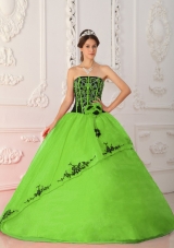 2014 Spring Green Strapless Satin and Organza Long Quinceanera Dresses