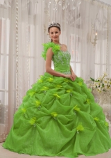 Ball Gown One Shoulder Appliques Long Quinceanera Dresses