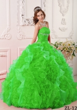Beautiful Puffy Sweetheart Appliques and Beading 2014 Spring Quinceanera Dresses