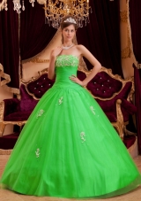 Cheap Strapless Appliques Princess 2014 Spring Green Quinceanera Dresses
