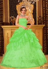 Pretty Spring Green Princess Strapless Appliques Sweet 15 Dresses