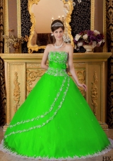 Princess Strapless Lace Appliques Quinceanera Dresses in Spring Green
