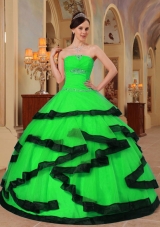 2014 Spring Ball Gown Strapless Organza Appliques Quinceanera Dresses